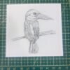 PXL_20251109_101013458 Hand-drawn Bird Stickers