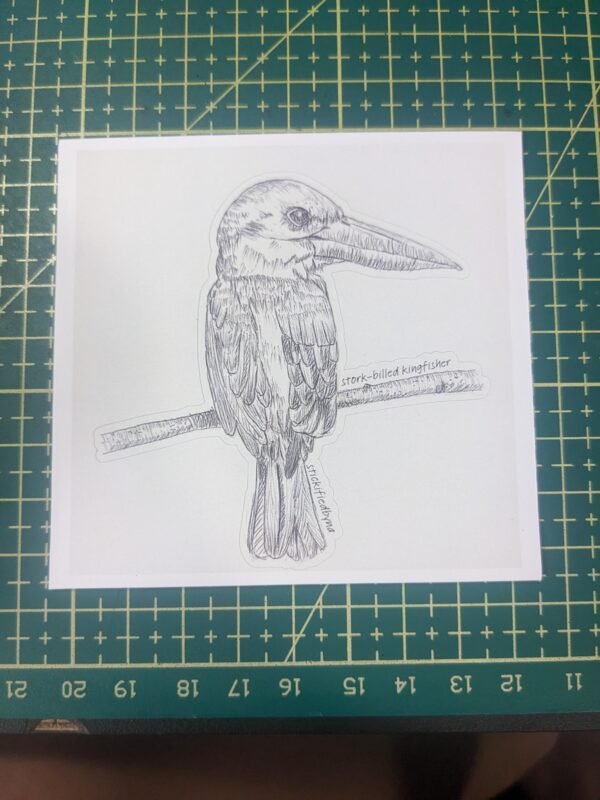 PXL_20251109_101013458 Hand-drawn Bird Stickers