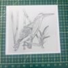 PXL_20251109_101019421 Hand-drawn Bird Stickers