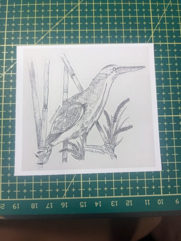 PXL_20251109_101019421 Hand-drawn Bird Stickers