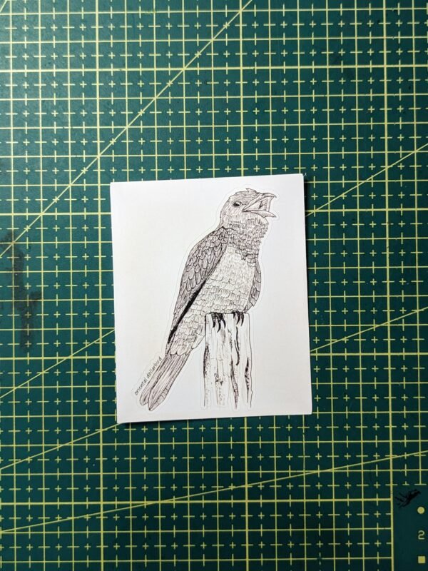 PXL_20260614_071853709.PORTRAIT.ORIGINAL~2 Hand-drawn Bird Stickers