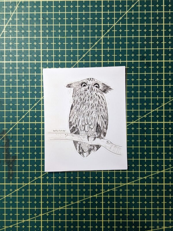 PXL_20260614_071903998.PORTRAIT.ORIGINAL~2 Hand-drawn Bird Stickers