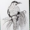 PXL_20260614_072044465.PORTRAIT.ORIGINAL~2 Hand-drawn Bird Stickers