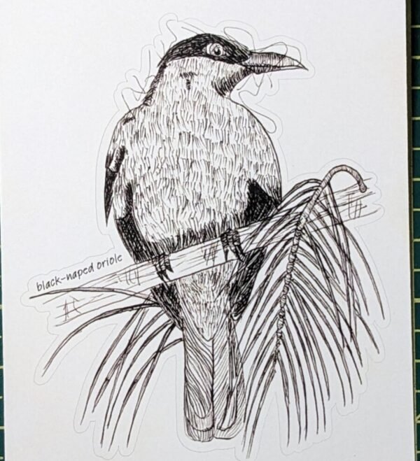 PXL_20260614_072044465.PORTRAIT.ORIGINAL~2 Hand-drawn Bird Stickers