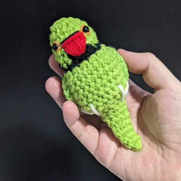Green Ring-necked Parakeet