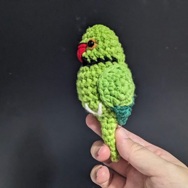 Green Ring-necked Parakeet