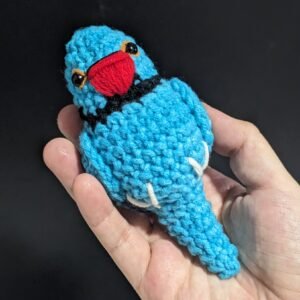 Blue Ring-necked Parakeet