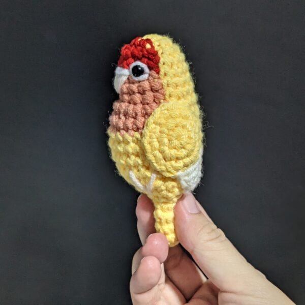 Lutino Lovebird