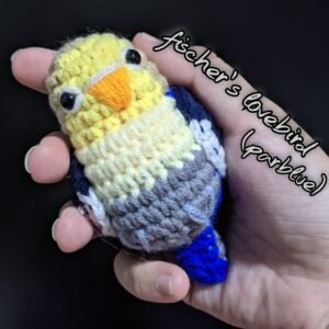 Parblue Fischer's Lovebird