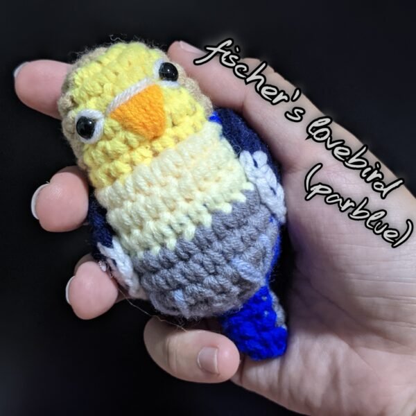 Parblue Fischer's Lovebird