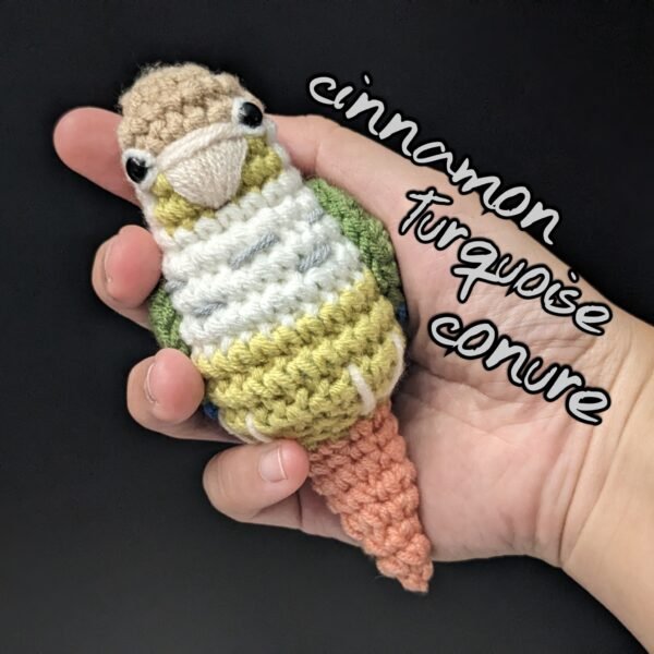 Cinnamon Turquoise Conure