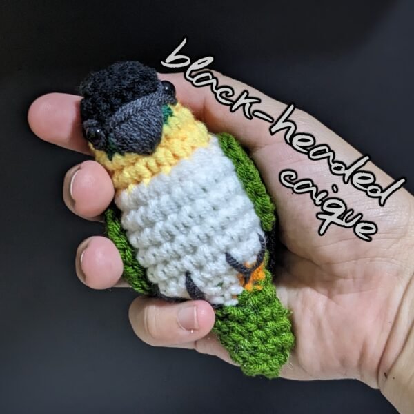 Black-headed Caique