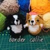 PhotoGrid_Site_1767832700492 Border Collie