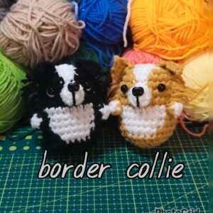 Border Collie