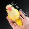 Lutino Quaker