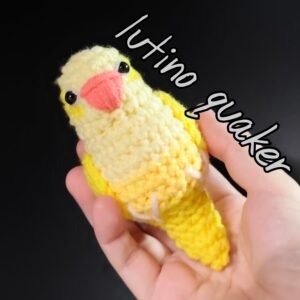 Lutino Quaker