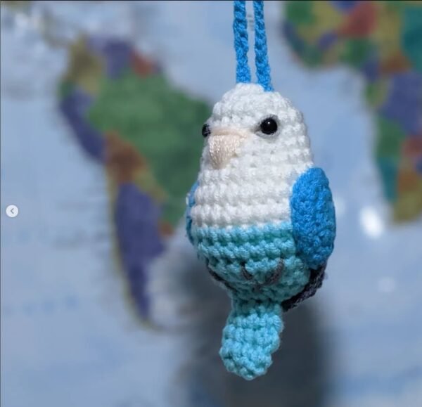 Blue 2 Lovebird