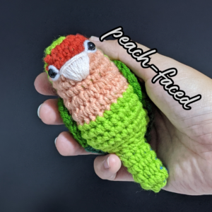 Peach-faced Lovebird