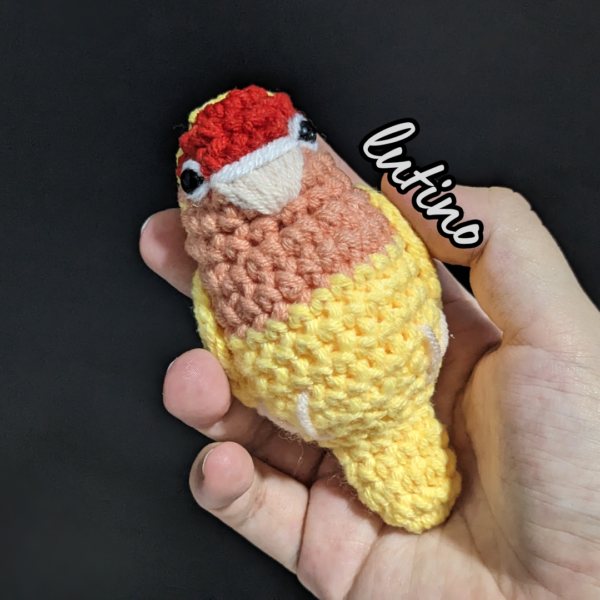 Lutino Lovebird